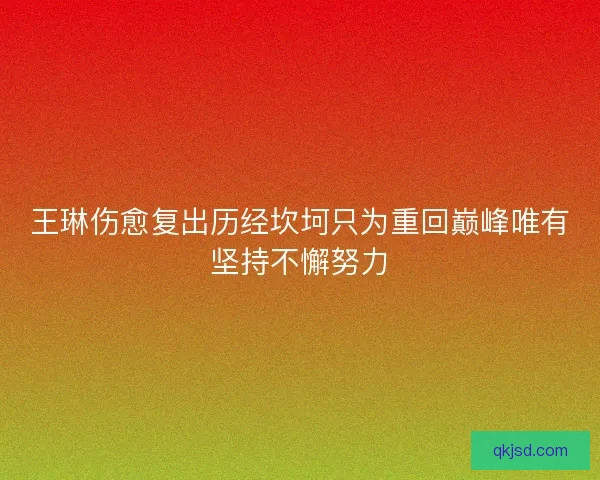 王琳伤愈复出历经坎坷只为重回巅峰唯有坚持不懈努力